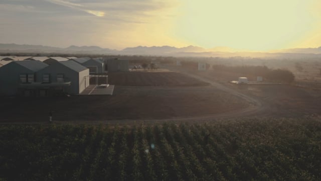 Video Production UAE